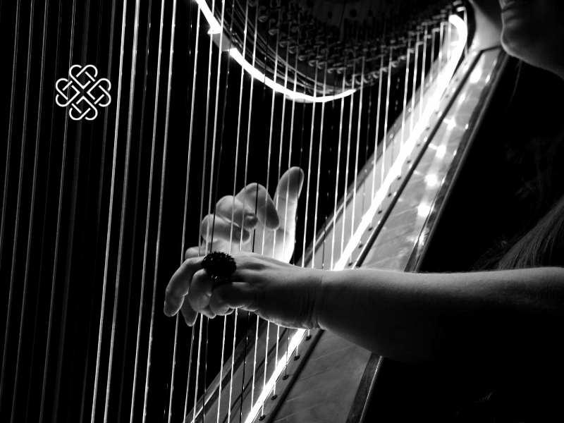 Movement & Music: Restorative Yoga + Harp Experience - Sunday 16th August at 1pm